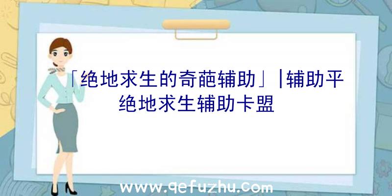 「绝地求生的奇葩辅助」|辅助平绝地求生辅助卡盟